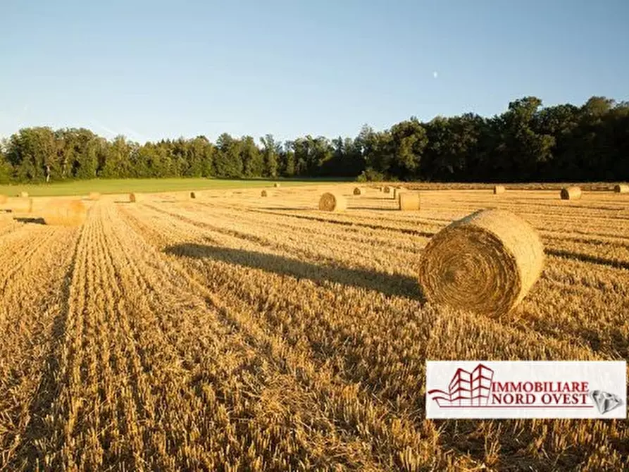 Immagine 5 di Terreno in vendita  a Vanzago
