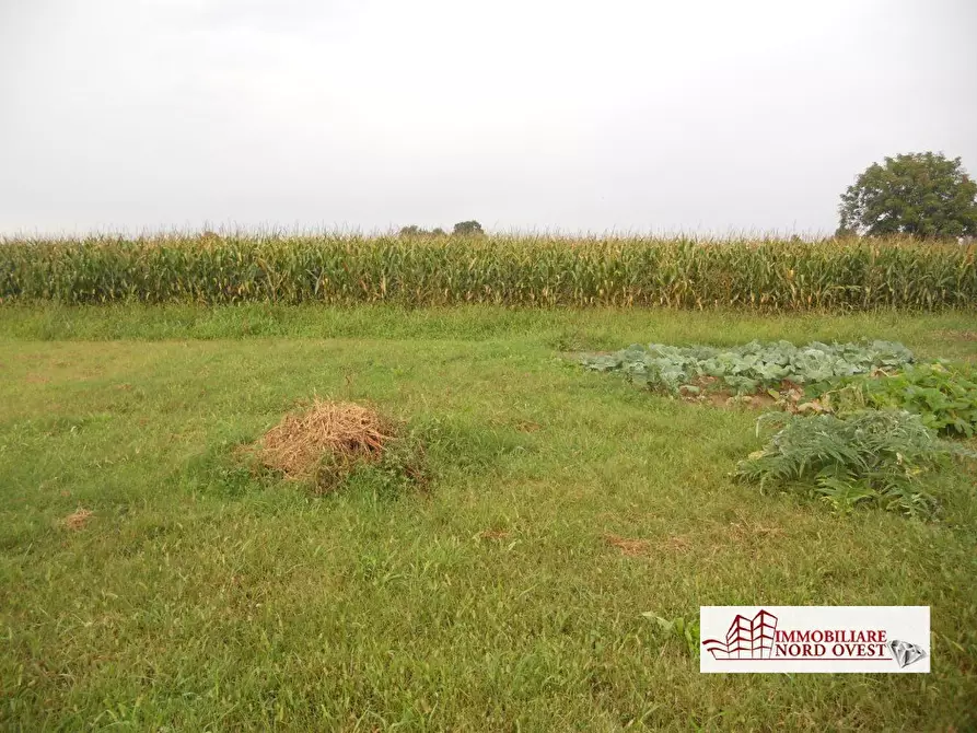 Immagine 2 di Terreno edificabile in vendita  a Pregnana Milanese