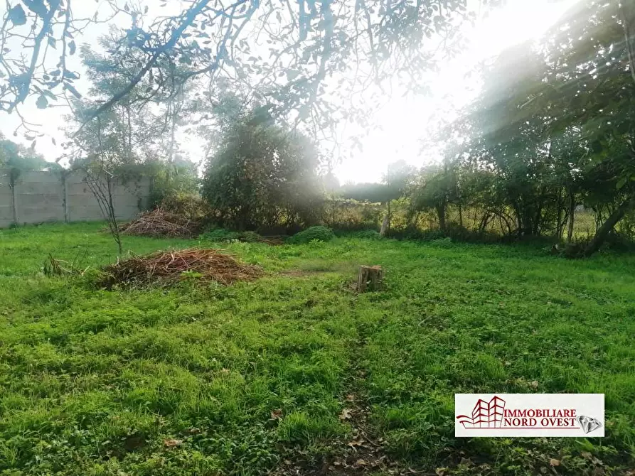 Immagine 3 di Terreno edificabile in vendita  a Pregnana Milanese