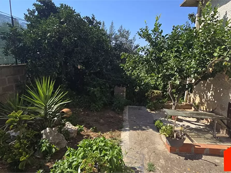 Immagine 4 di Villa in vendita  a Alcamo