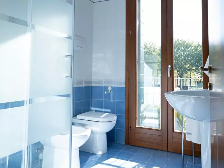 Immagine 4 di Appartamento in vendita  a Montagnana