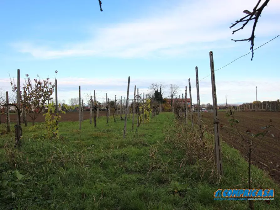 Immagine 10 di Villa in vendita  a Borgo Veneto