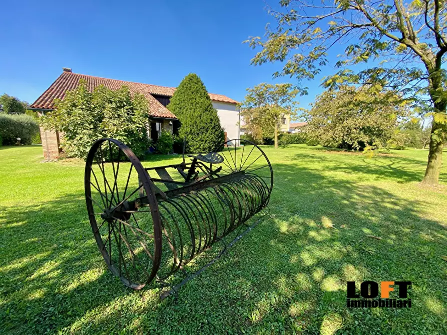 Immagine 6 di Villa in vendita  a Cartura