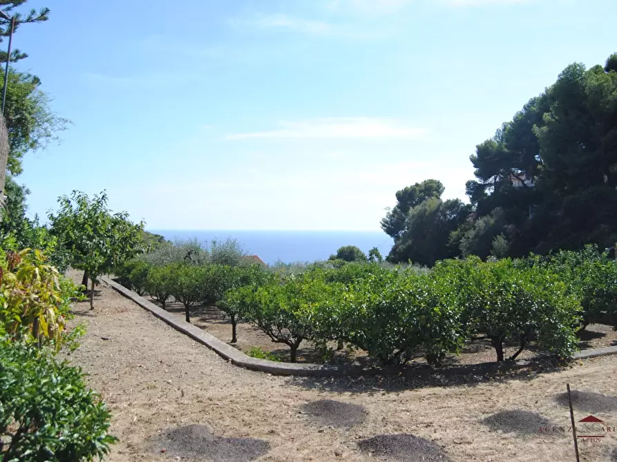 Immagine 4 di Villa in vendita  a Bordighera