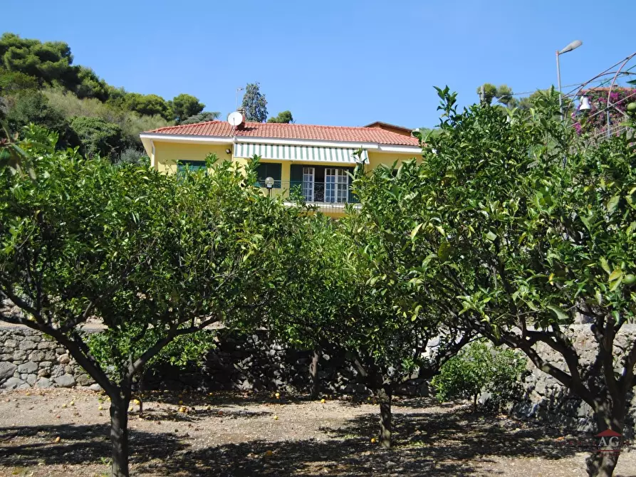 Immagine 5 di Villa in vendita  a Bordighera
