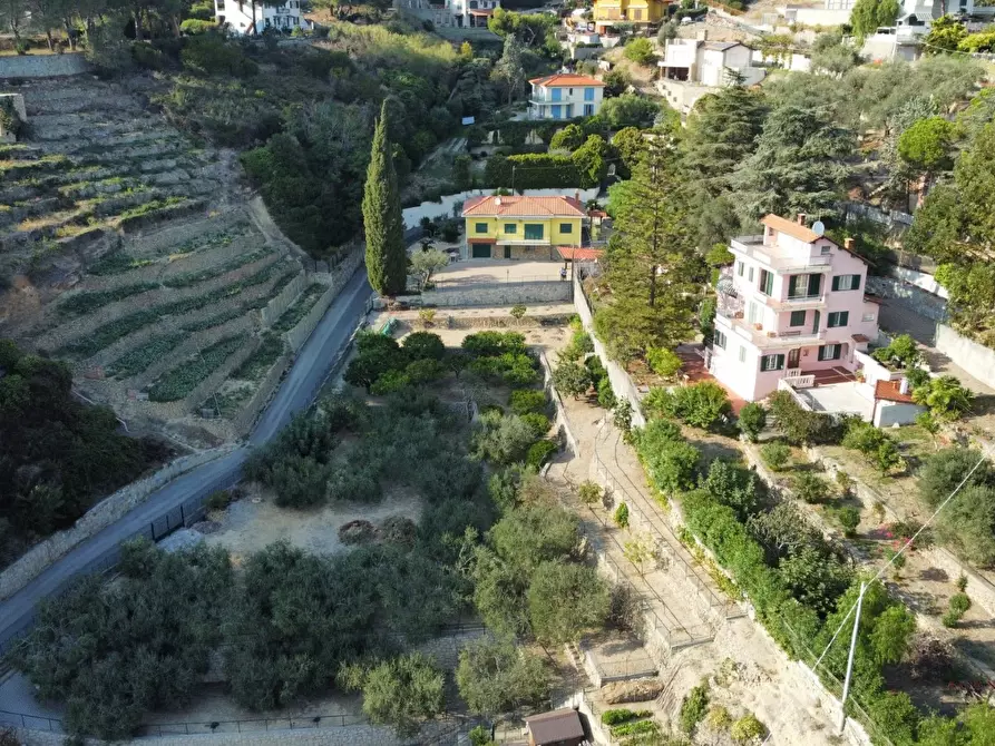 Immagine 10 di Villa in vendita  a Bordighera