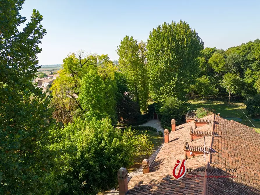 Immagine 7 di Villa in vendita  a Rovigo