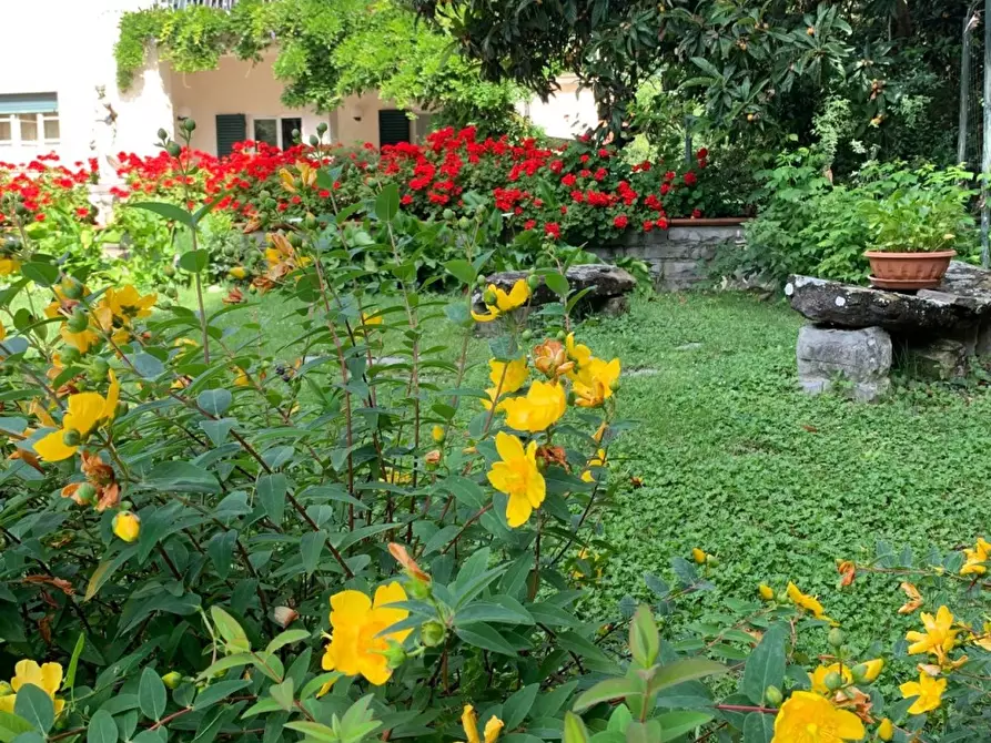 Immagine 8 di Villa in affitto  37 a Arezzo