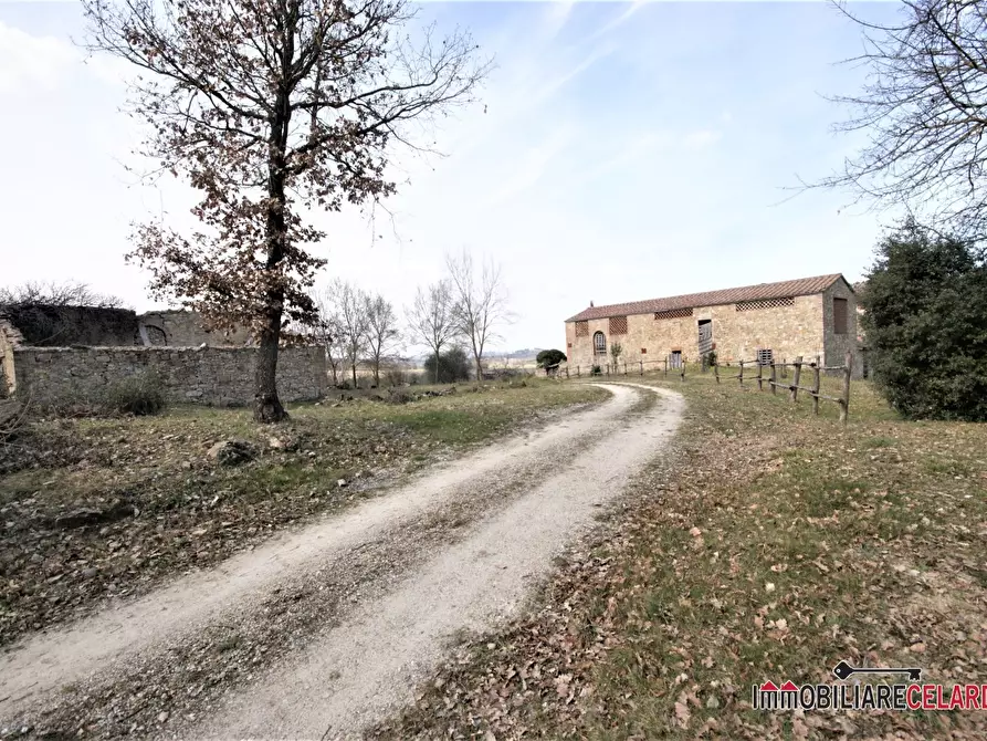 Immagine 10 di Rustico / casale in vendita  a Casole D'elsa