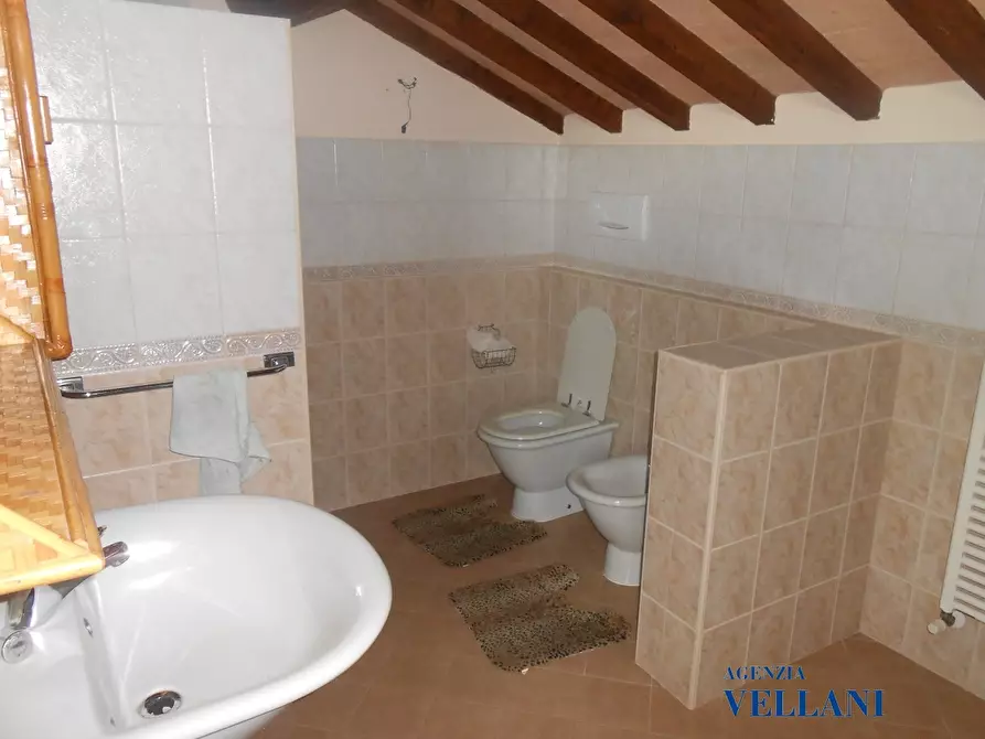 Immagine 7 di Rustico / casale in vendita  a Carpi