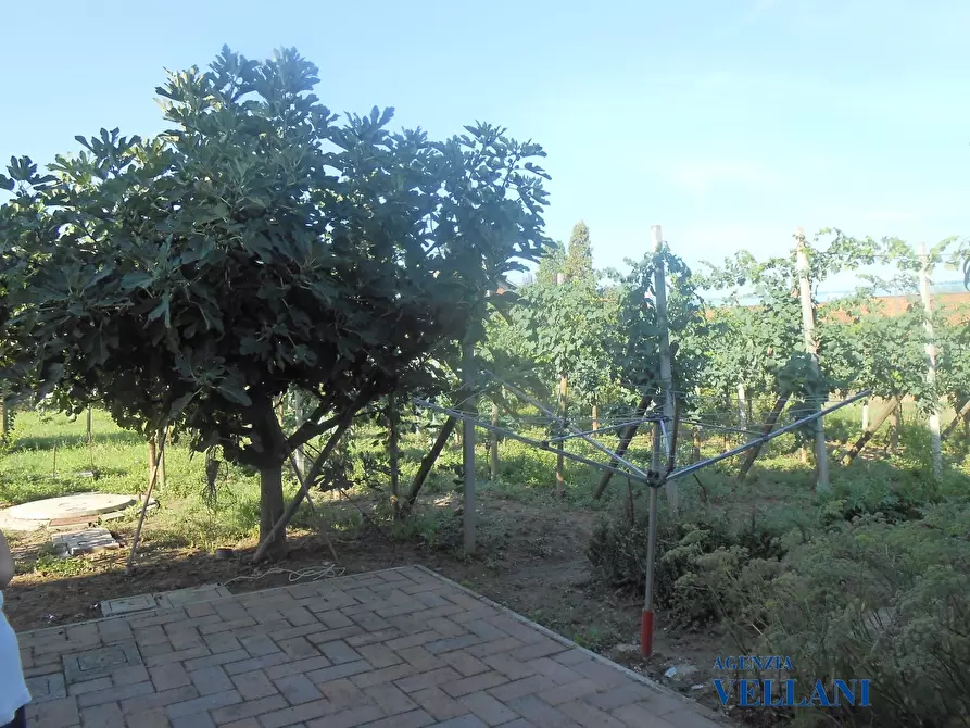 Immagine 9 di Rustico / casale in vendita  a Carpi