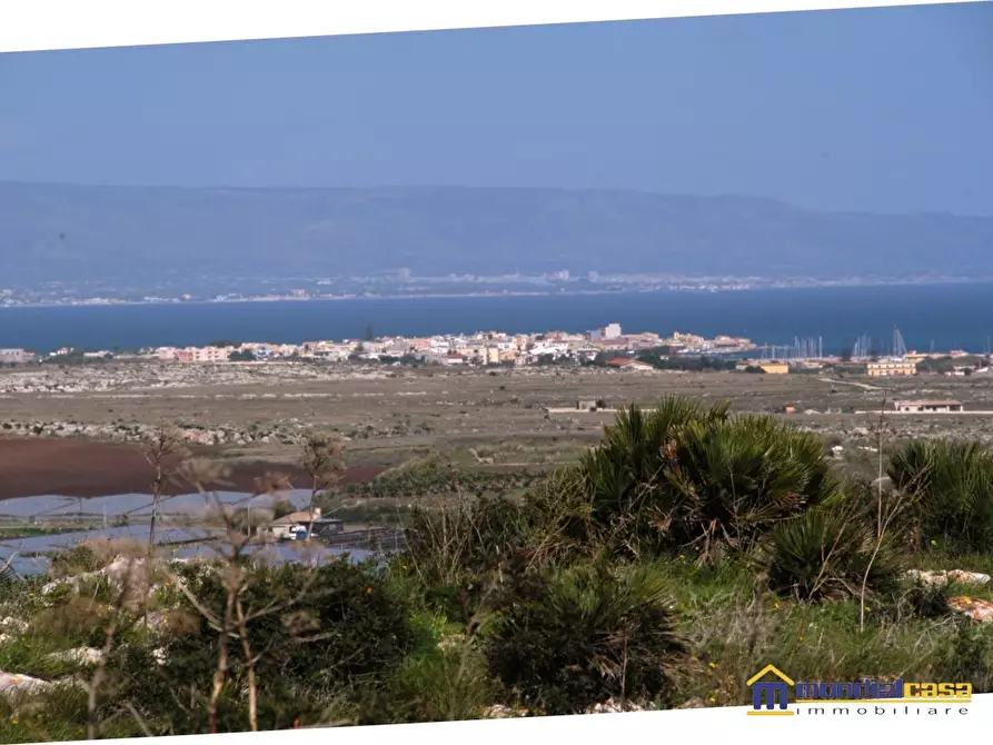 Immagine 6 di Terreno in vendita  a Pachino