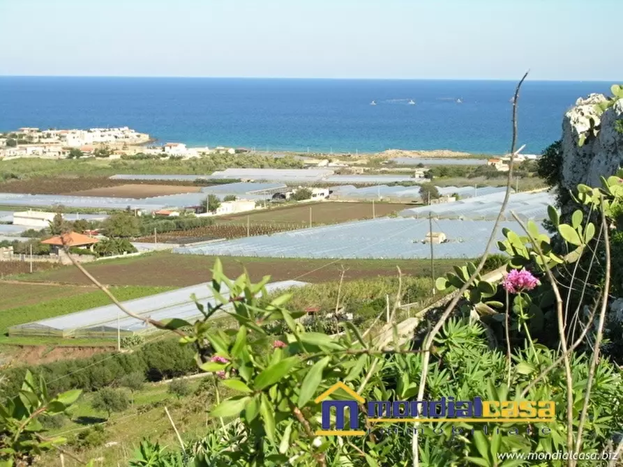 Immagine 9 di Terreno in vendita  a Pachino