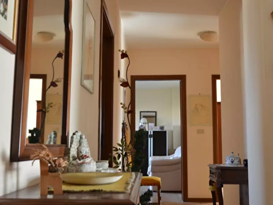 Immagine 5 di Appartamento in vendita  a Valenzano