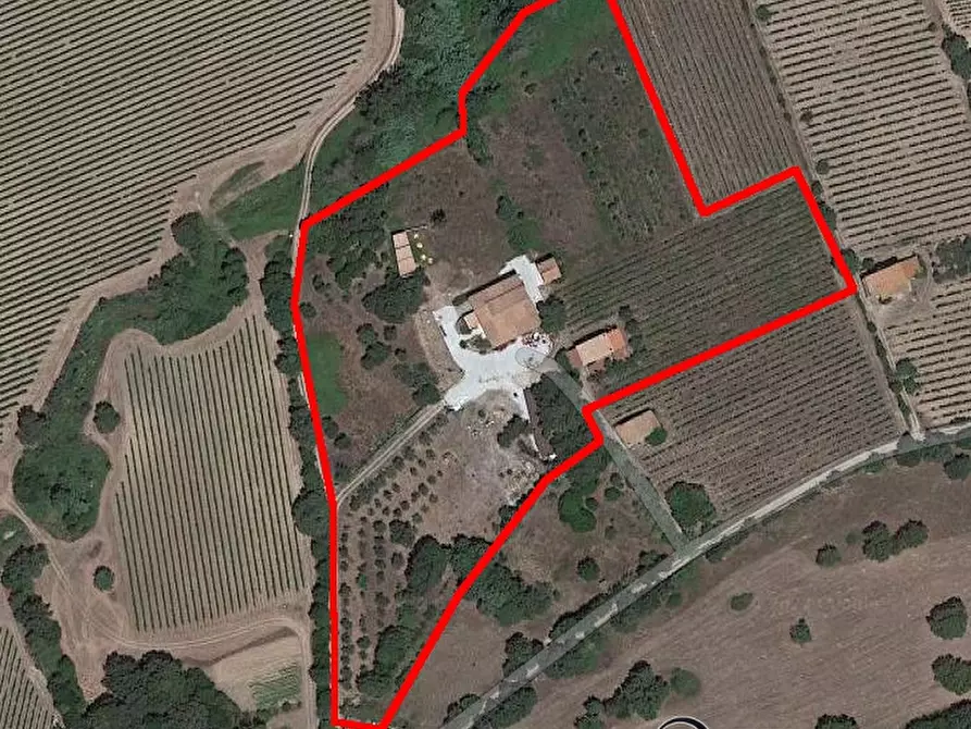 Immagine 9 di Agriturismo in vendita  a Olbia