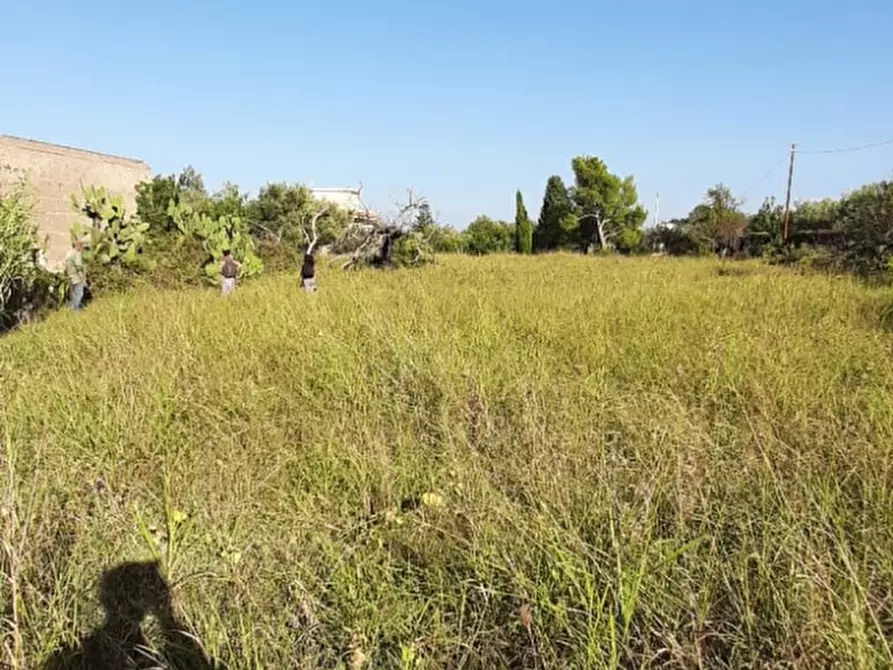 Immagine 3 di Terreno edificabile in vendita  a Messina