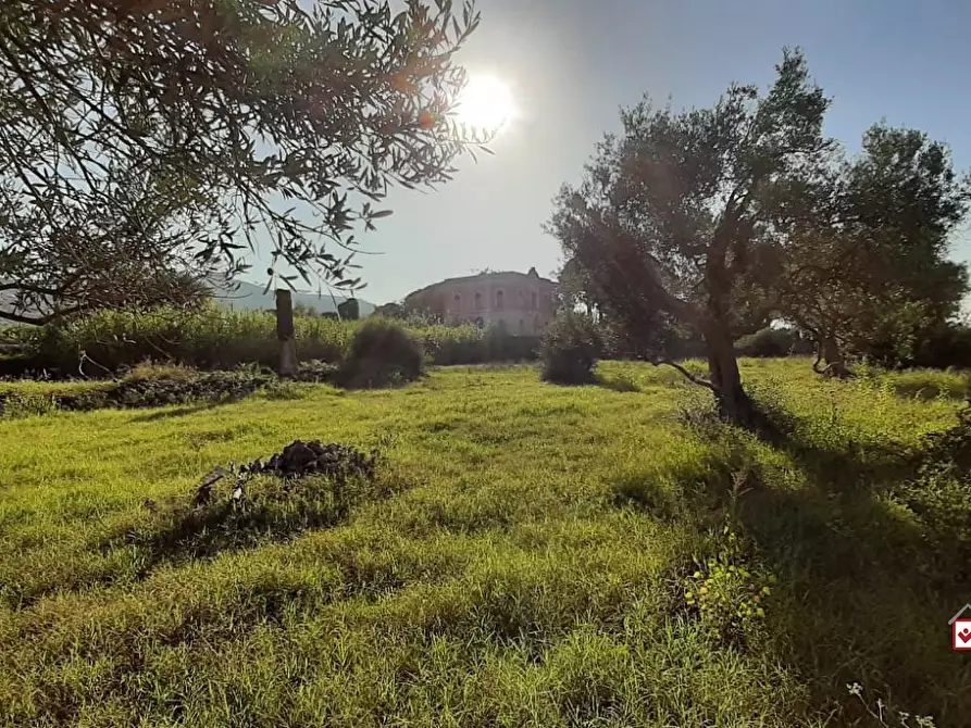 Immagine 4 di Terreno edificabile in vendita  a Messina