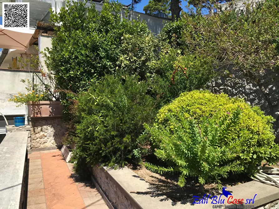 Immagine 9 di Villa in vendita  a Capri