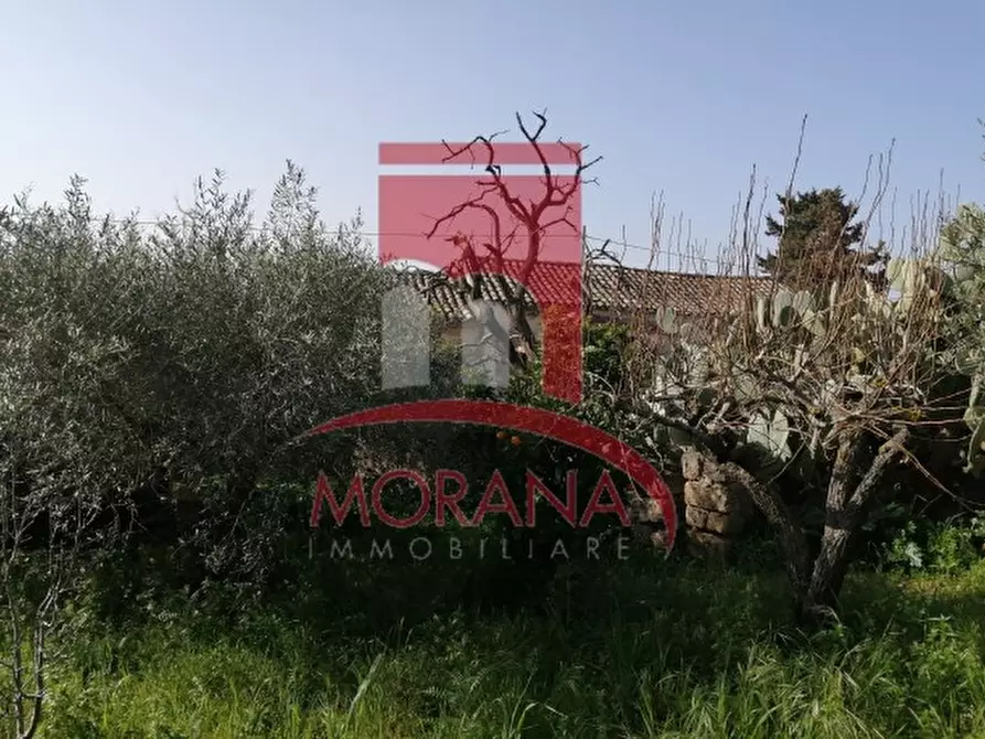 Immagine 6 di Casa indipendente in vendita  a Valderice