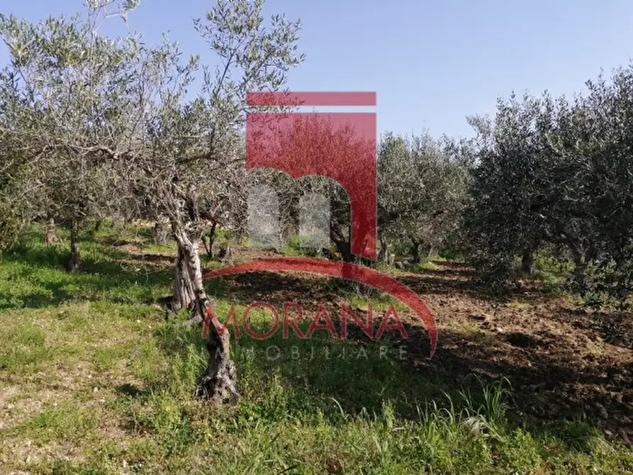 Immagine 5 di Casa indipendente in vendita  a Valderice