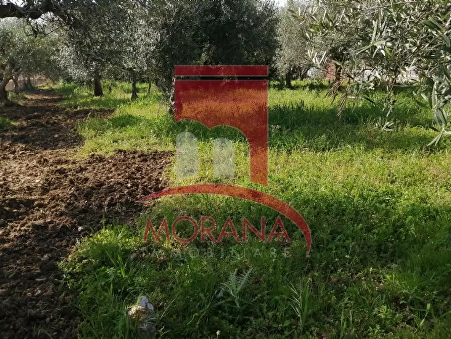 Immagine 4 di Casa indipendente in vendita  a Valderice