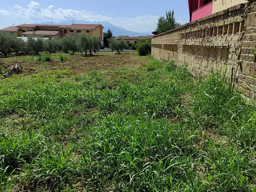 Immagine 2 di Terreno edificabile in vendita  a Pianella