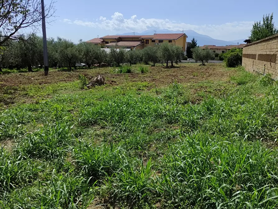 Immagine 3 di Terreno edificabile in vendita  a Pianella