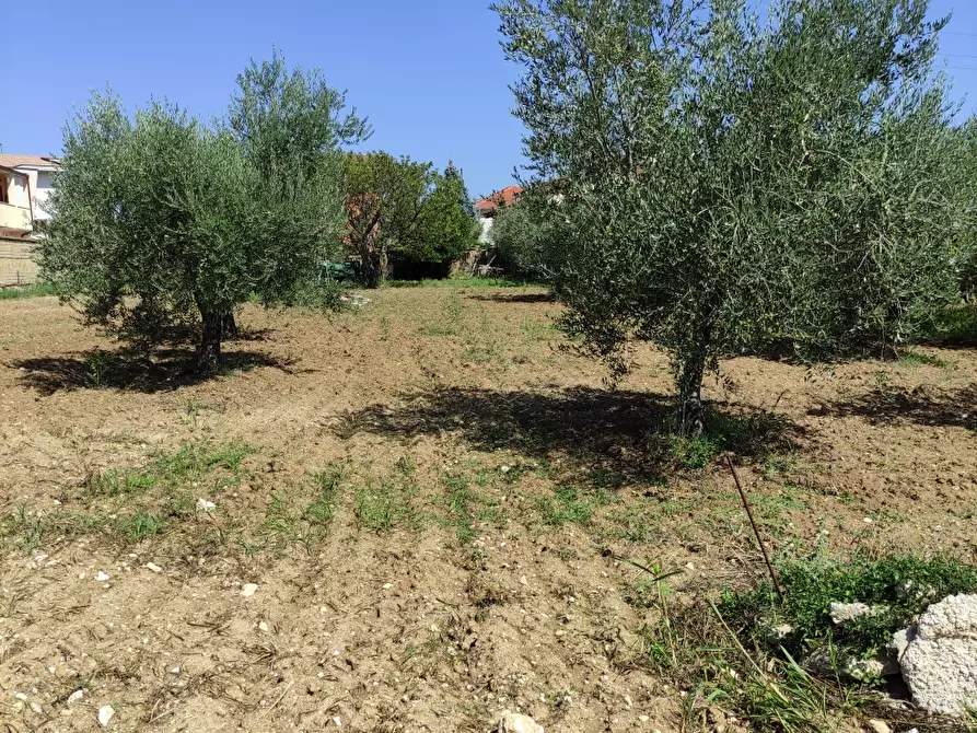 Immagine 7 di Terreno edificabile in vendita  a Pianella