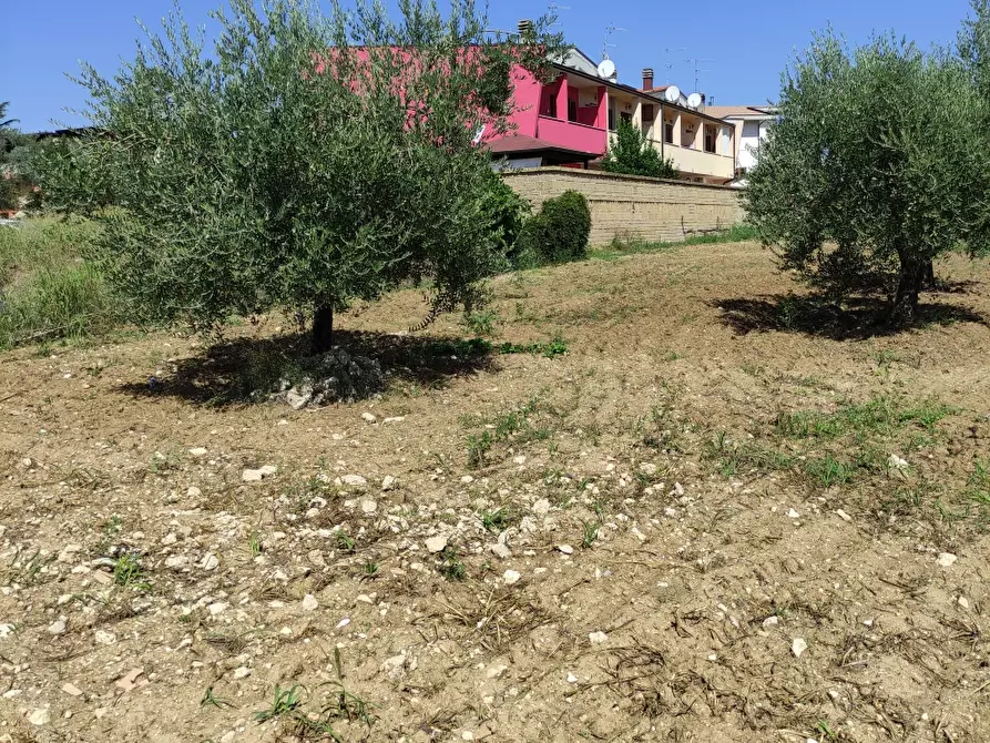 Immagine 6 di Terreno edificabile in vendita  a Pianella