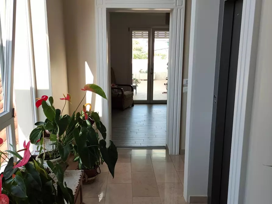 Immagine 3 di Villa in vendita  a Cepagatti