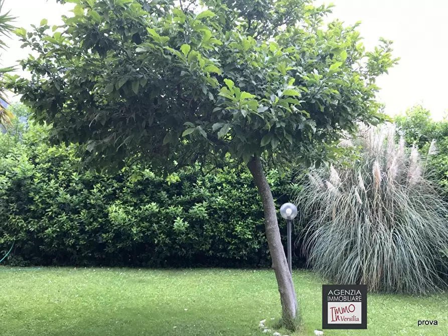 Immagine 3 di Villa in vendita  a Massarosa