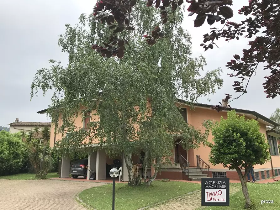 Immagine 2 di Villa in vendita  a Massarosa