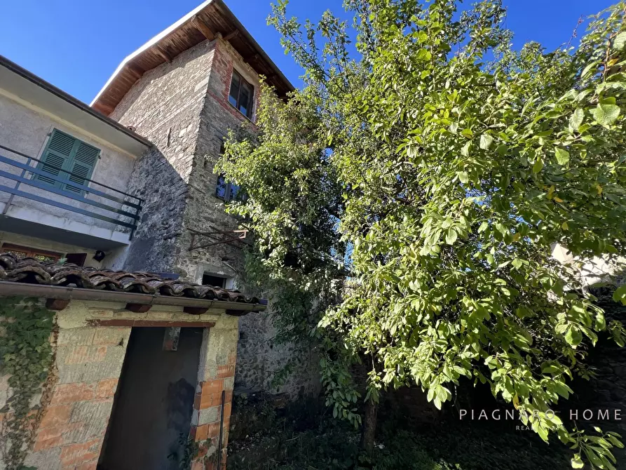 Immagine 3 di Rustico / casale in vendita  a Filattiera