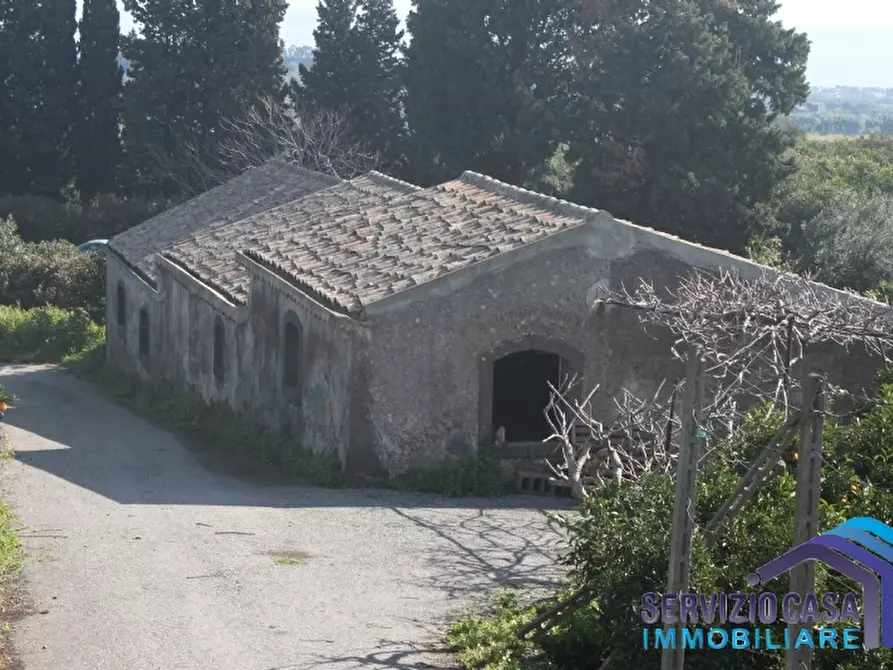Immagine 2 di Villa in vendita  a Mascali
