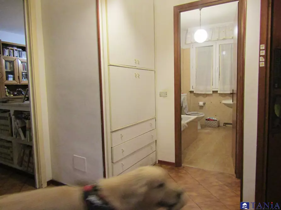 Immagine 6 di Appartamento in vendita  90 a Carrara