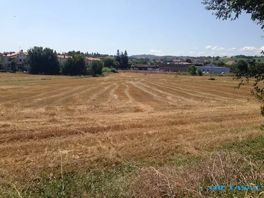 Immagine 3 di Terreno edificabile in vendita  a Cepagatti