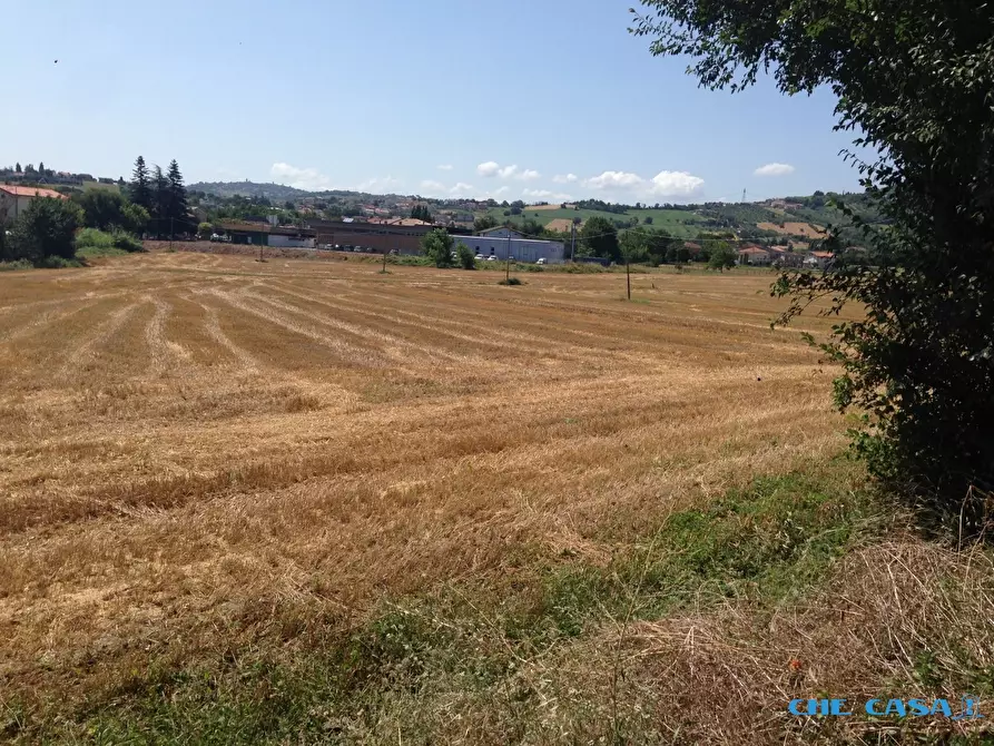 Immagine 3 di Terreno edificabile in vendita  a Rosciano