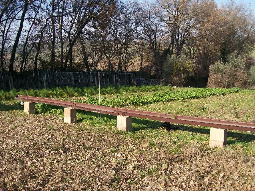 Immagine 3 di Terreno edificabile in vendita  a Cepagatti
