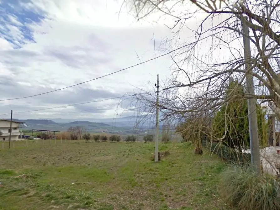 Immagine 3 di Terreno edificabile in vendita  a Cepagatti