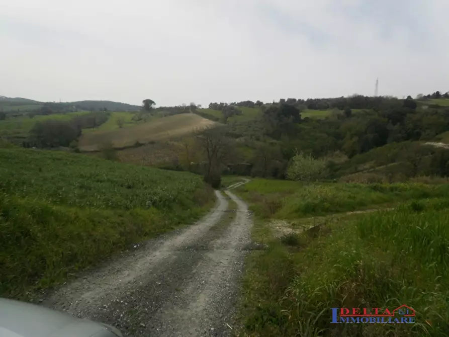 Immagine 6 di Terreno edificabile in vendita  a Rosignano Marittimo