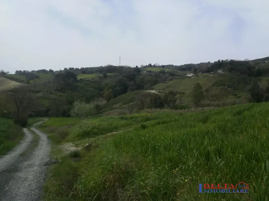 Immagine 7 di Terreno edificabile in vendita  a Rosignano Marittimo