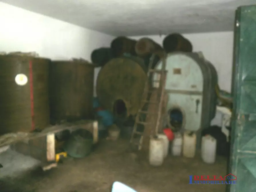 Immagine 3 di Terreno edificabile in vendita  a Rosignano Marittimo