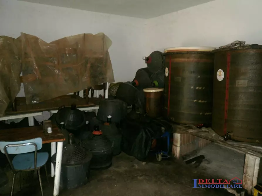 Immagine 2 di Terreno edificabile in vendita  a Rosignano Marittimo