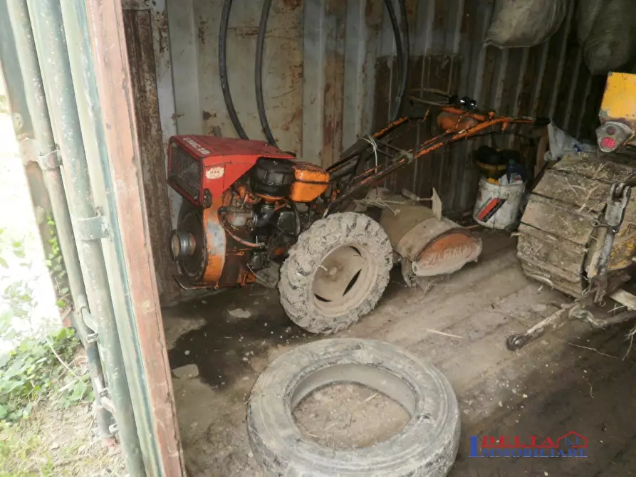 Immagine 4 di Terreno edificabile in vendita  a Rosignano Marittimo