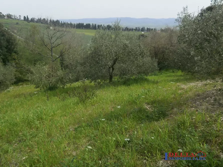 Immagine 5 di Terreno edificabile in vendita  a Rosignano Marittimo