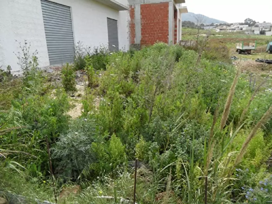 Immagine 5 di Negozio in vendita  a Alcamo