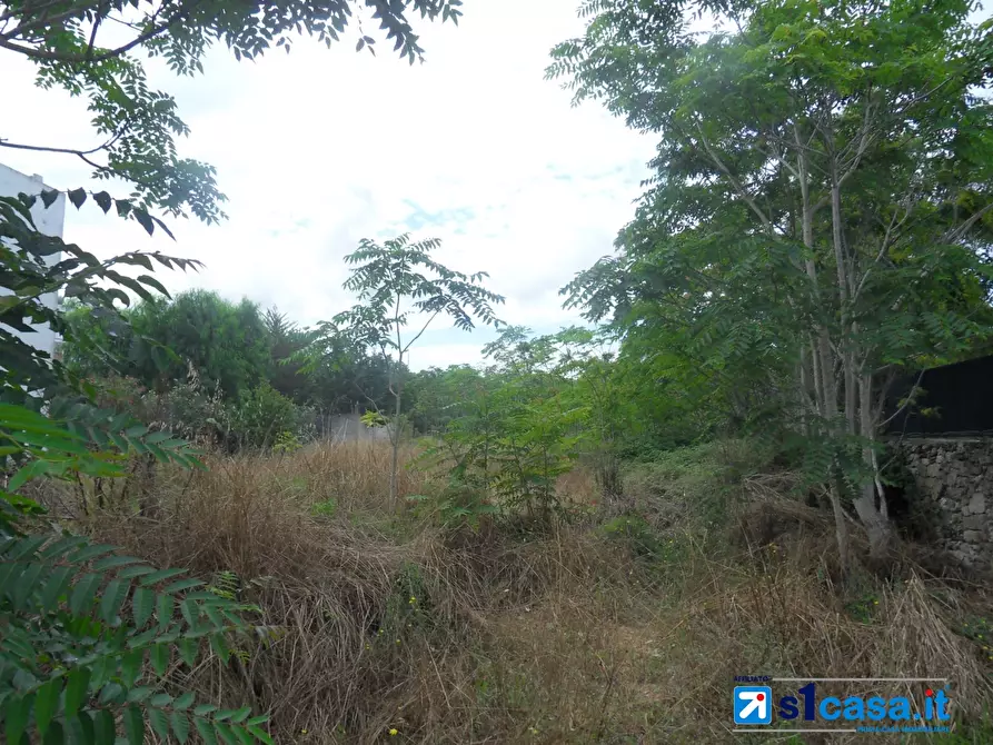 Immagine 8 di Terreno edificabile in vendita  a Galatone