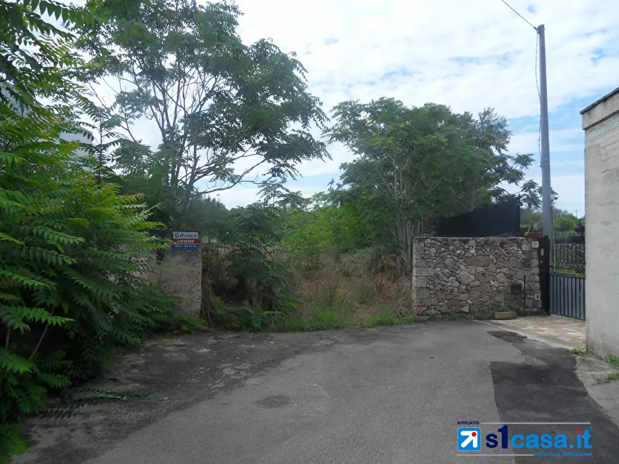 Immagine 7 di Terreno edificabile in vendita  a Galatone