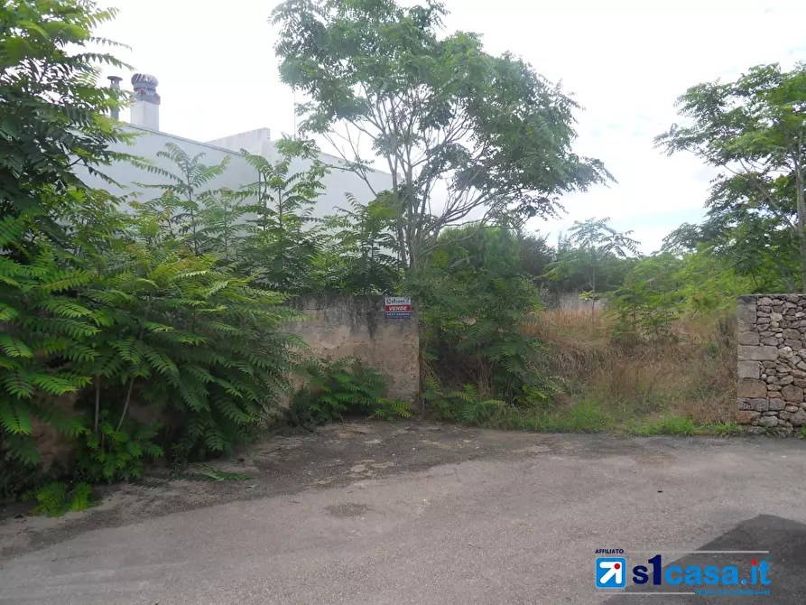 Immagine 6 di Terreno edificabile in vendita  a Galatone