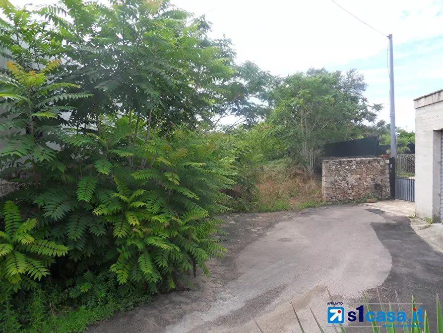 Immagine 3 di Terreno edificabile in vendita  a Galatone